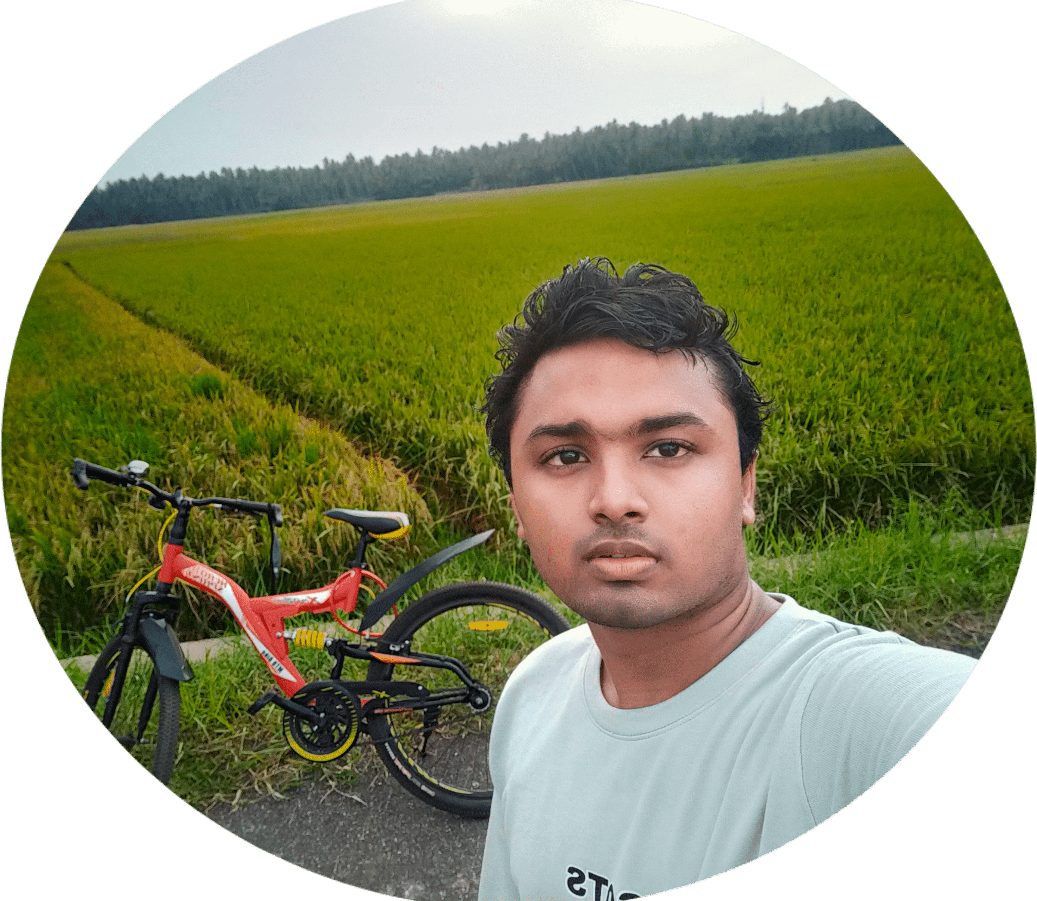 home pic
